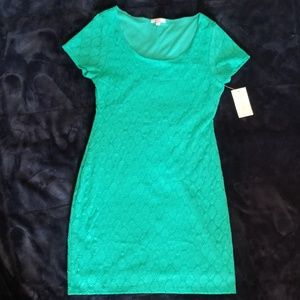 Isaac Mizrahi Dress Semi formal Mint Green Eyelet